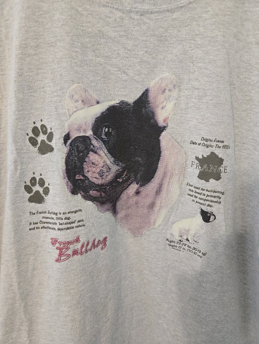 VIntage Anvil French Bulldog Sweatshirt Mens XXXL History Of Dog 90s - Picture 3 of 7